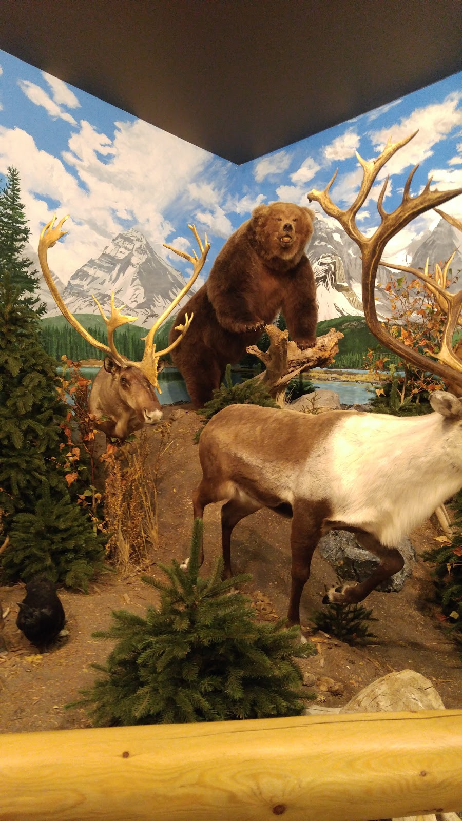 Sundre & District Museum | Box 314, 211 1 Ave SW, Sundre, AB T0M 1X0, Canada | Phone: (403) 638-3233