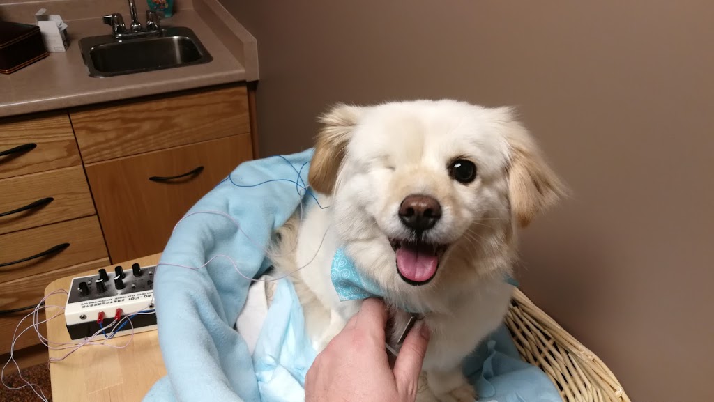 Southgate Animal Hospital | 361 Southgate Dr, Guelph, ON N1G 3M5, Canada | Phone: (519) 822-9600