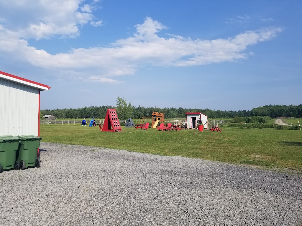 Ferme Laval Gagnon inc | 2208 Chem. Royal, Sainte-Famille, QC G0A 3P0, Canada | Phone: (418) 829-2495
