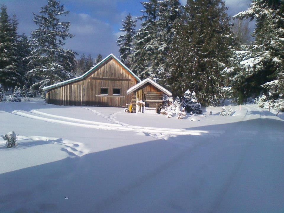 Fullner Christmas Tree Farm | 3783 E Hoff Rd, Everson, WA 98247, USA | Phone: (360) 592-5820