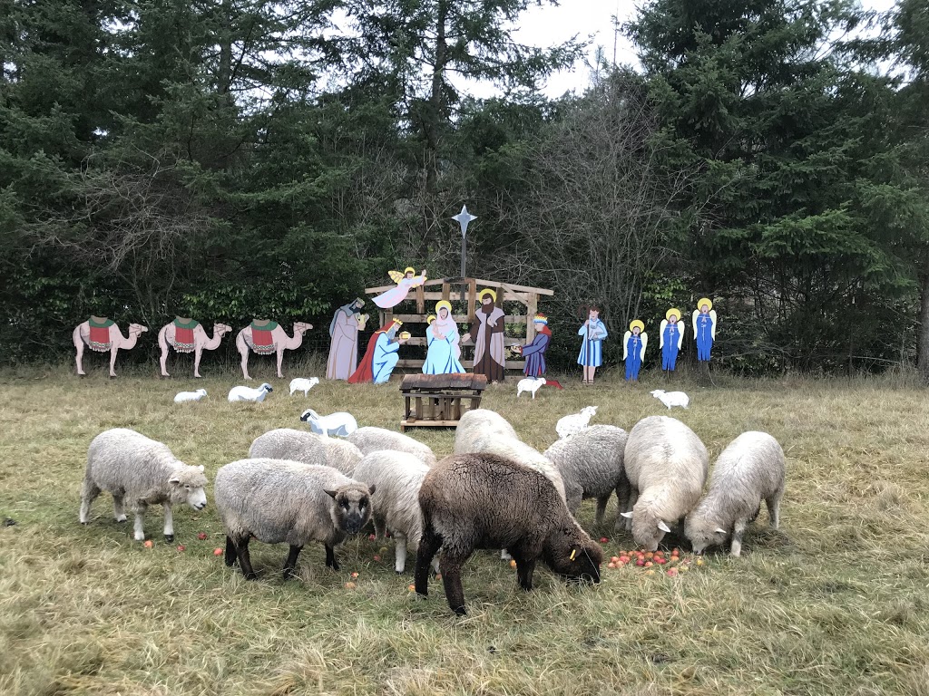 Warm Valley Orchard | 124 Warm Valley Ln, Orcas, WA 98280, USA | Phone: (360) 376-4386