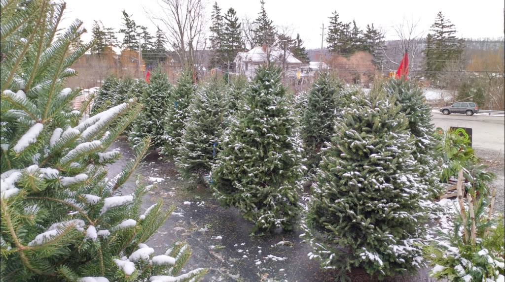 WINONA GARDENS | 1381 Hwy 8, Winona, ON L8E 5K6, Canada | Phone: (905) 643-2161