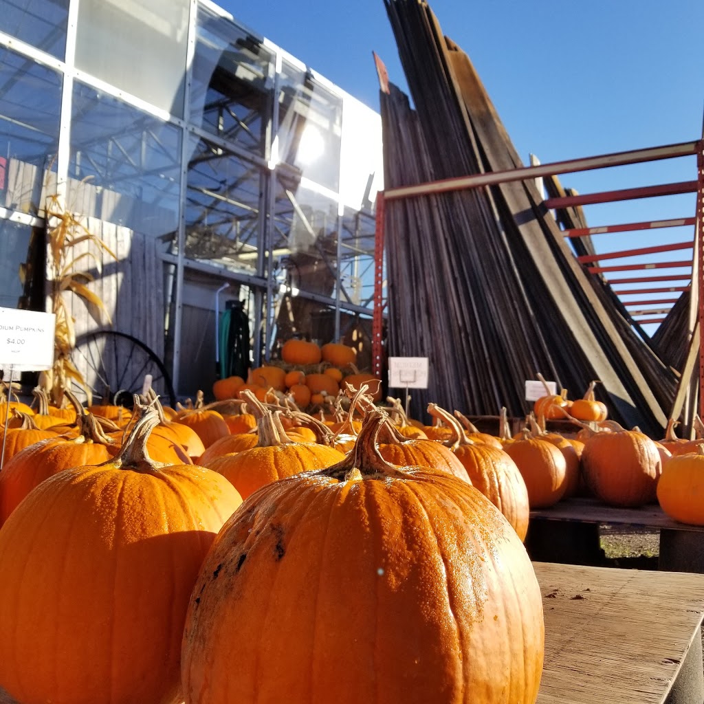 Dirt Depot | 163 Highway 5, Dundas, ON L9H 5E2, Canada | Phone: (905) 689-8787