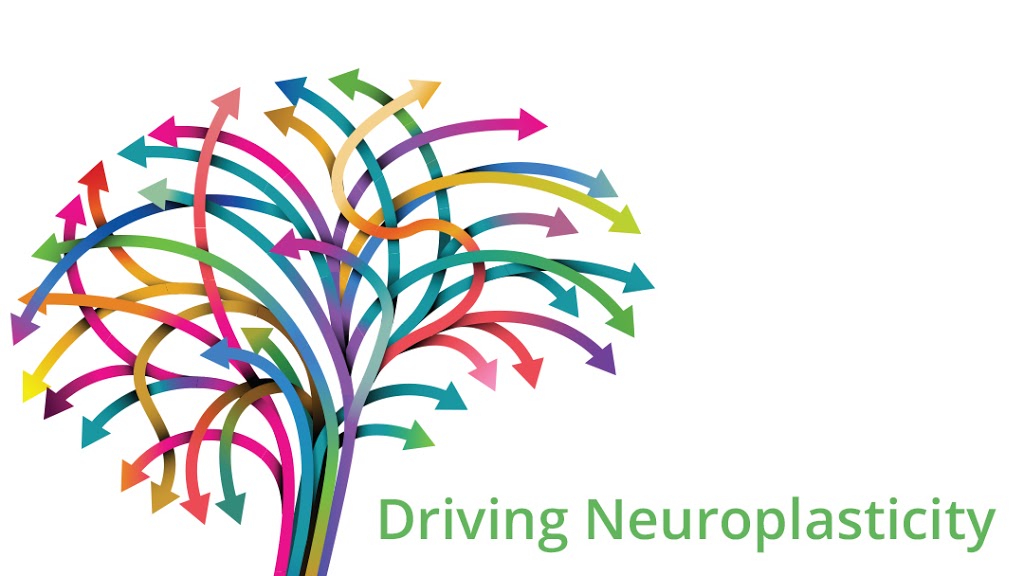 Northoak Chiropractic Clinic | 481 North Service Rd W #29, Oakville, ON L6M 2V6, Canada | Phone: (647) 556-2377