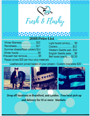 Fresh & Flashy | 163 Powerline Rd, Brantford, ON N3T 5L8, Canada | Phone: (519) 861-7828
