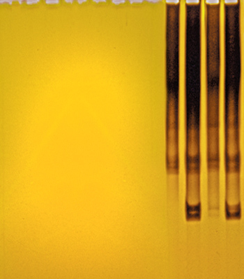 Phyto Diagnostics Company Ltd. | 9381 Ardmore Dr, North Saanich, BC V8L 5G4, Canada | Phone: (250) 655-1444