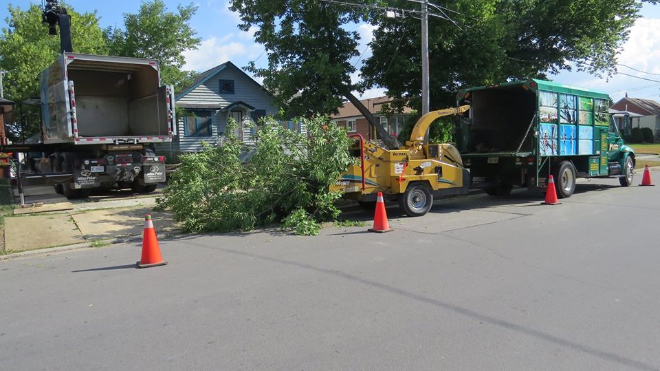 Able Tree Service Inc. | 27 Strandmore Cir, Whitby, ON L1M 0C1, Canada | Phone: (416) 283-3851