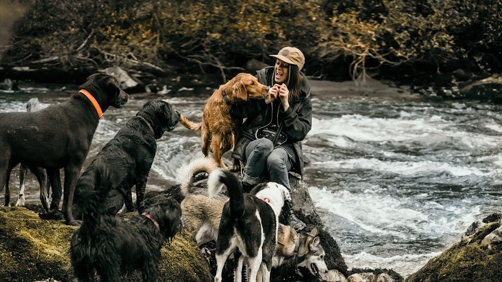 Trail Dogs | Pemberton, BC V0N 2L2, Canada | Phone: (604) 905-9273