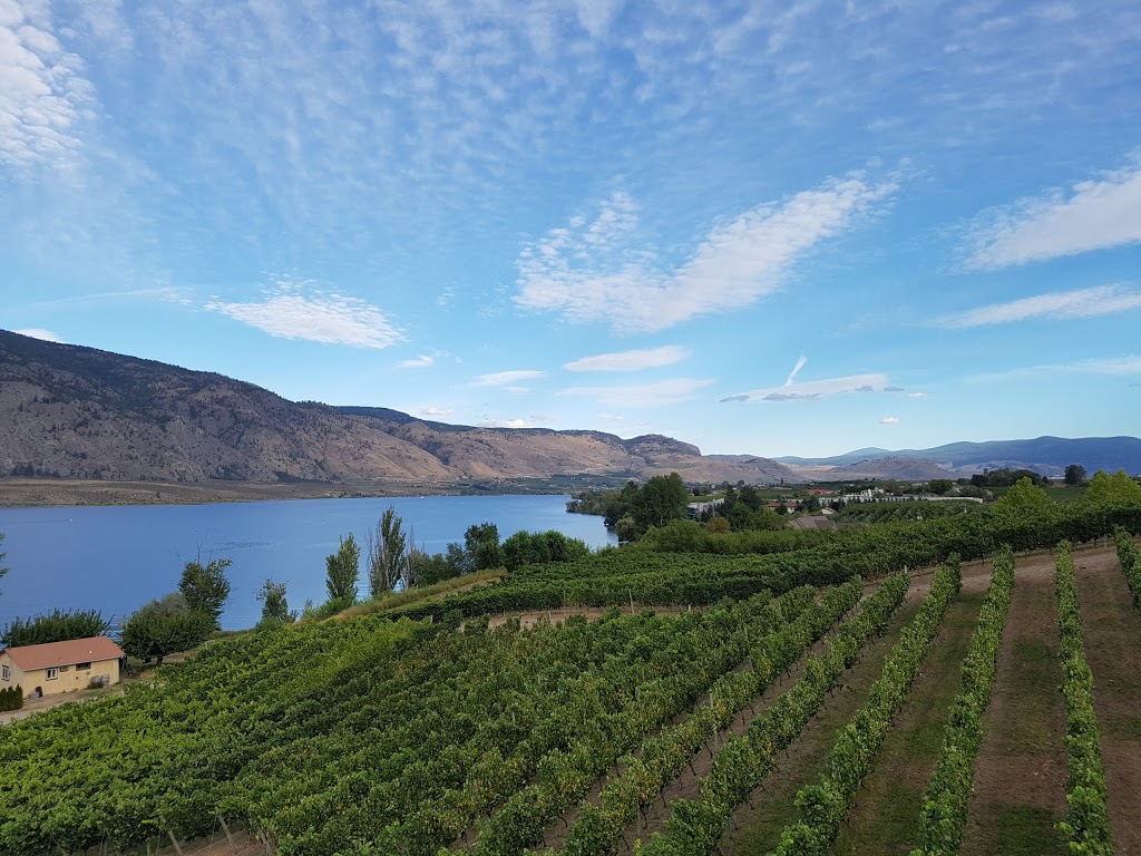 La Stella Winery | 8123 148 Ave, Osoyoos, BC V0H 1V2, Canada | Phone: (250) 495-8180