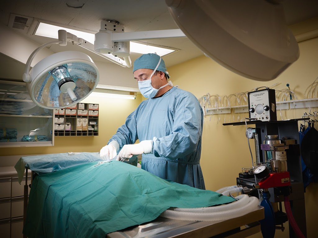Jane Animal Hospital | 313 Jane St, Toronto, ON M6S 3Z3, Canada | Phone: (416) 762-5558