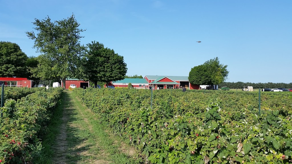 Pardos Berrie Farm | 7951 Talbot Trail, Blenheim, ON N0P 1A0, Canada | Phone: (519) 676-2008