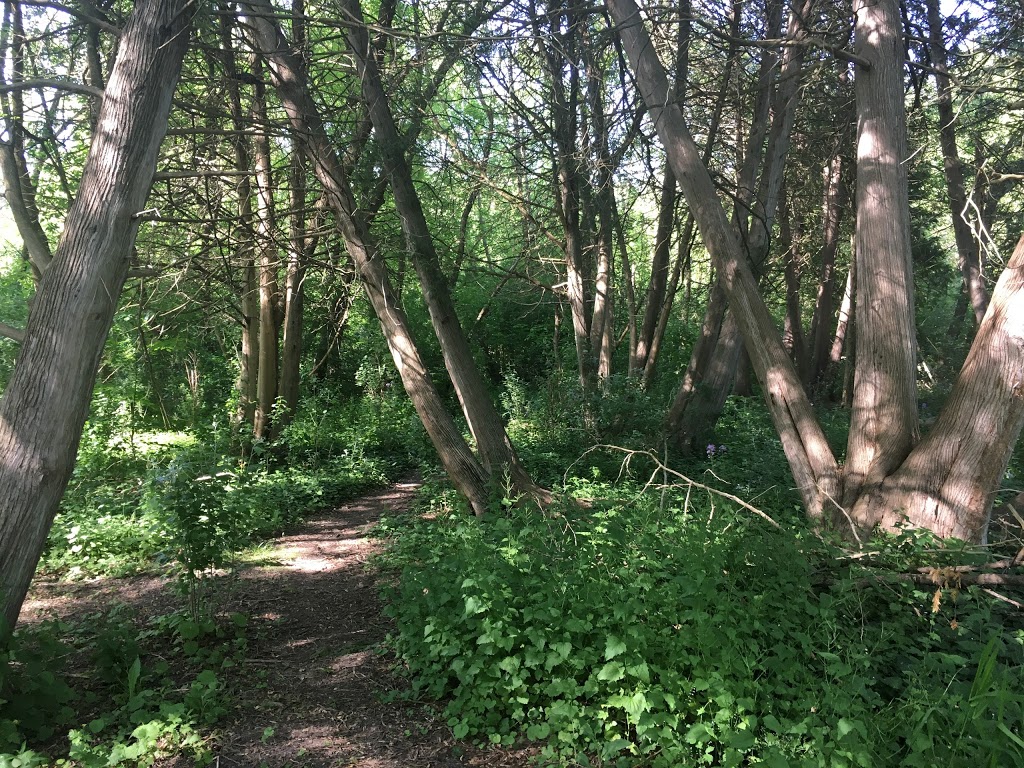 Mill Pond Trail - Richmond Hill, ON L4C 9N7, Canada