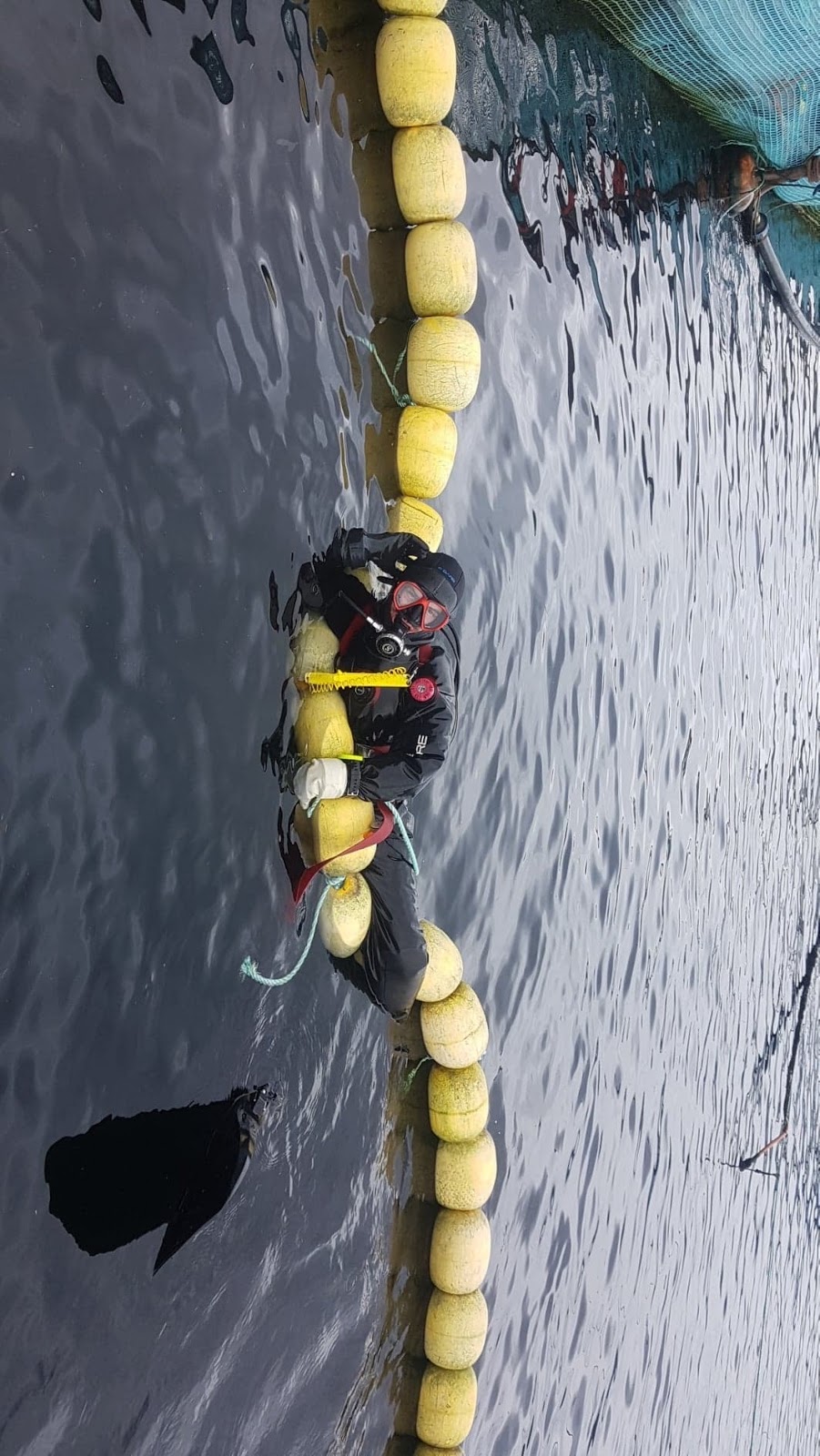 Diveco Marine | 200 Carmanah Dr, Courtenay, BC V9N 8N4, Canada | Phone: (250) 334-6598