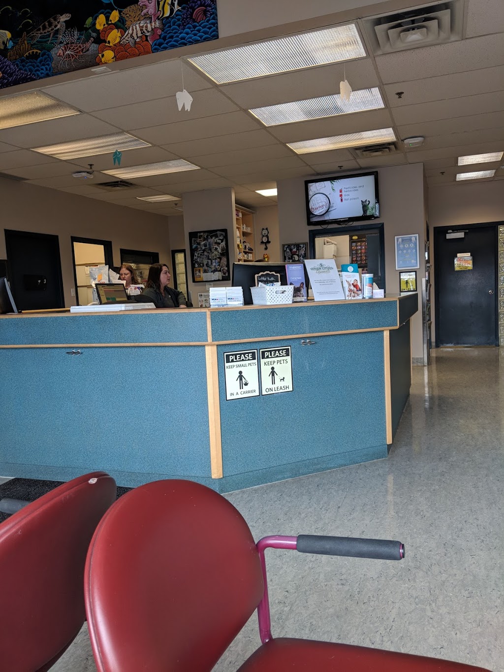 VCA Canada Harvest Hills Animal Hospital | 500 Country Hills Blvd NE #711, Calgary, AB T3K 4Y7, Canada | Phone: (403) 226-5522