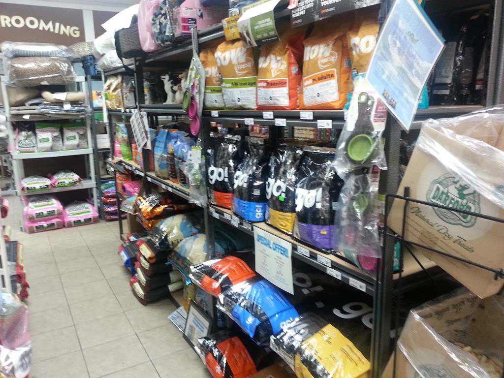 EZ Pet Grooming | 3084 Spring St #1, Port Moody, BC V3H 1Z8, Canada | Phone: (604) 949-7387