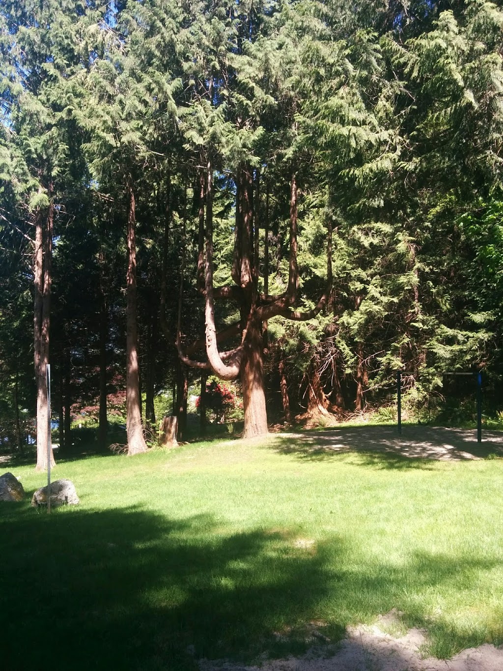 Sandy Hook Park | 6009 Ark Rd, Sechelt, BC V0N 3A4, Canada