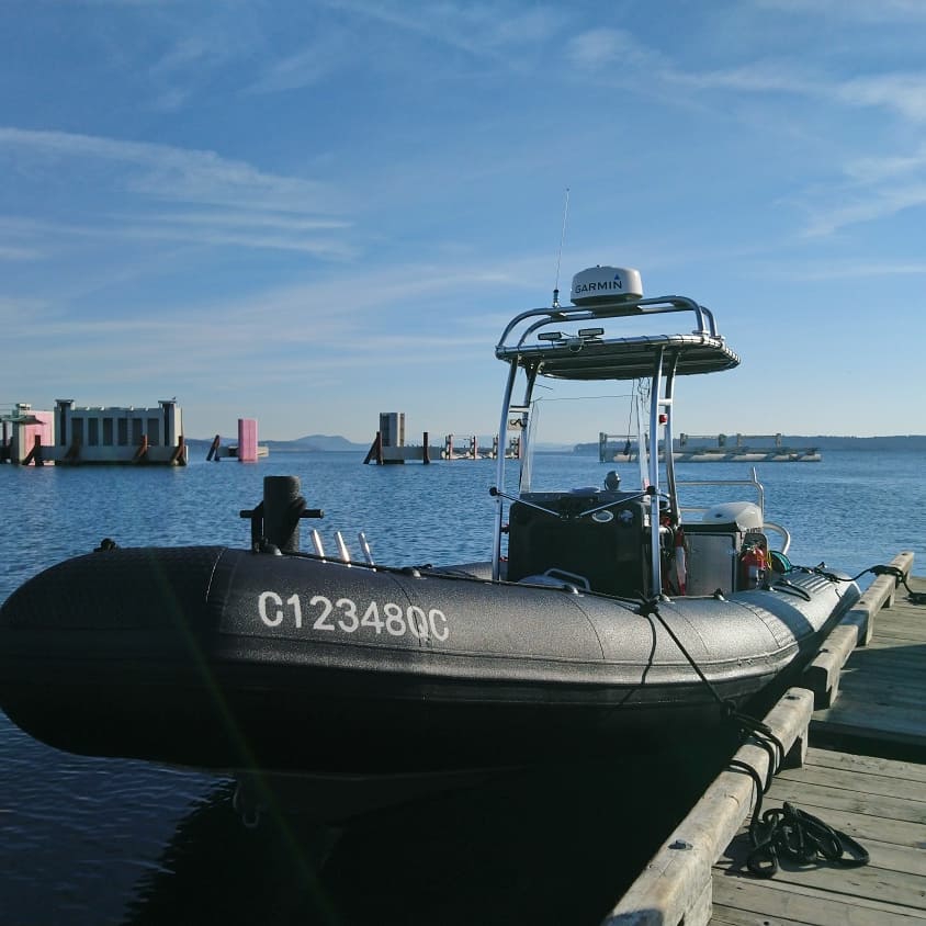 Esquimalt Eco tours | C/O Westbay Marina, 453 Head St, Victoria, BC V9A 5S1, Canada | Phone: (778) 535-7744