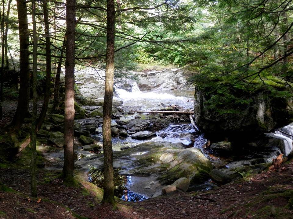 Millbrook Campground | 1152 VT-100, Westfield, VT 05874, USA | Phone: (802) 744-8085