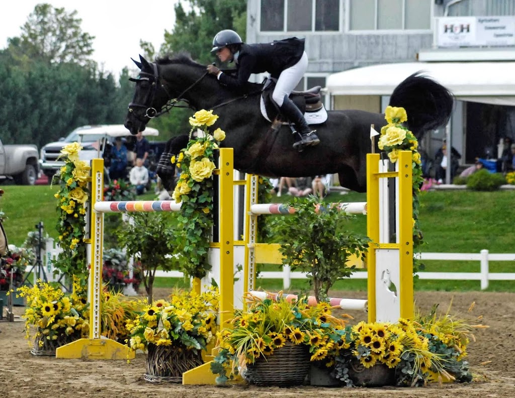 Caledon Equestrian Park | 200 Pine Ave, Palgrave, ON L7E 0M1, Canada | Phone: (905) 880-5344