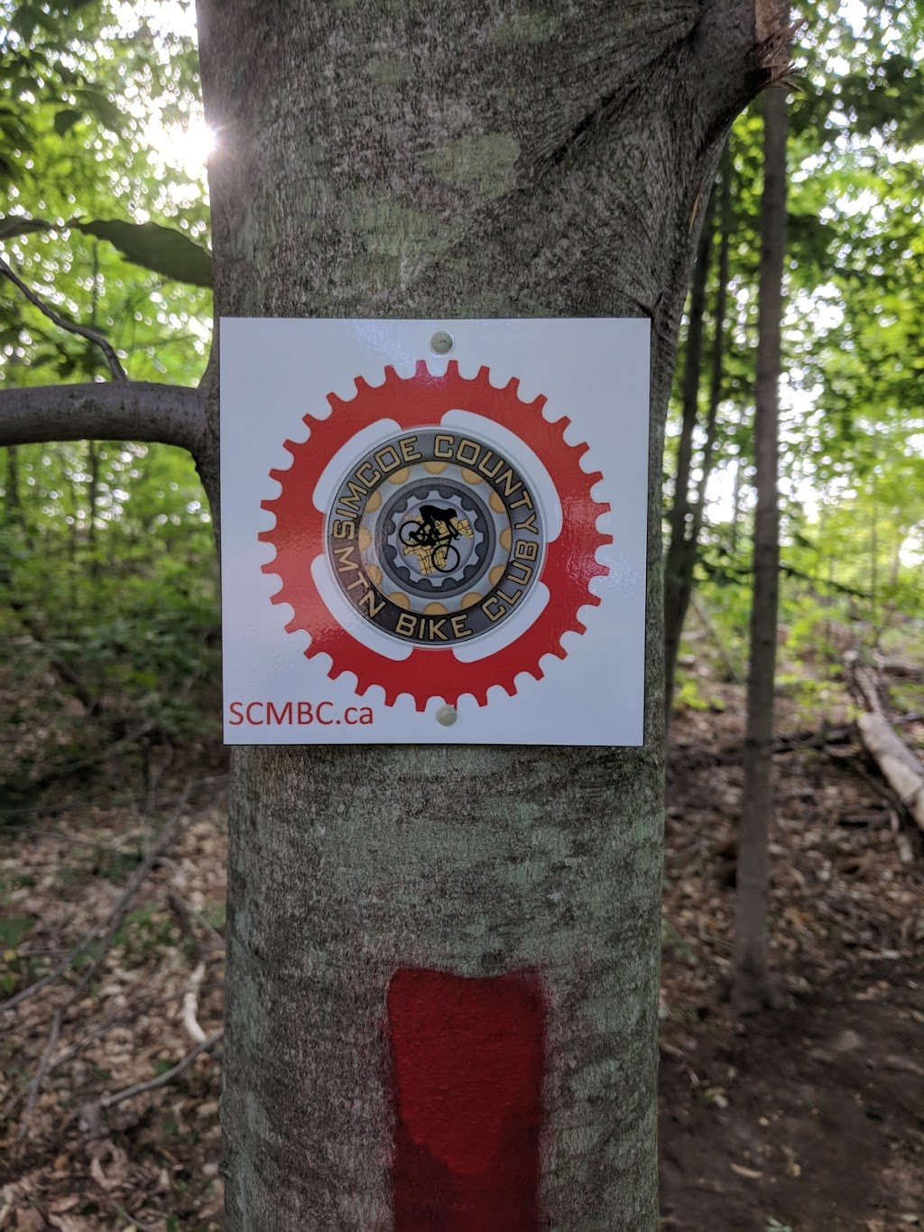 Copeland Forest Parking P5 | 3454-3460 5 Line N, Coldwater, ON L0K 1E0, Canada