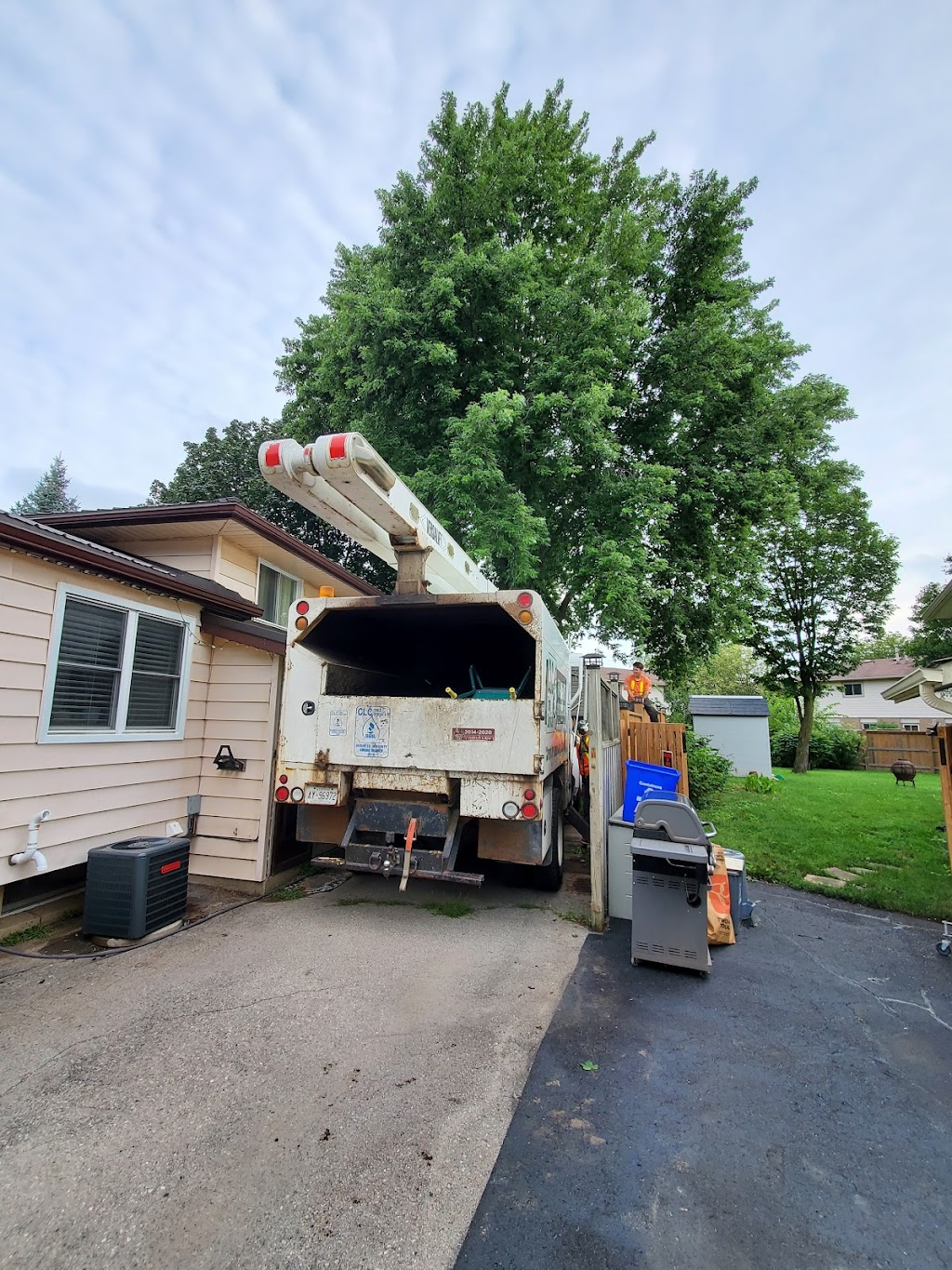 CLC Tree Services Ltd | 7024 Kerr Rd, London, ON N6N 1C5, Canada | Phone: (519) 685-0257