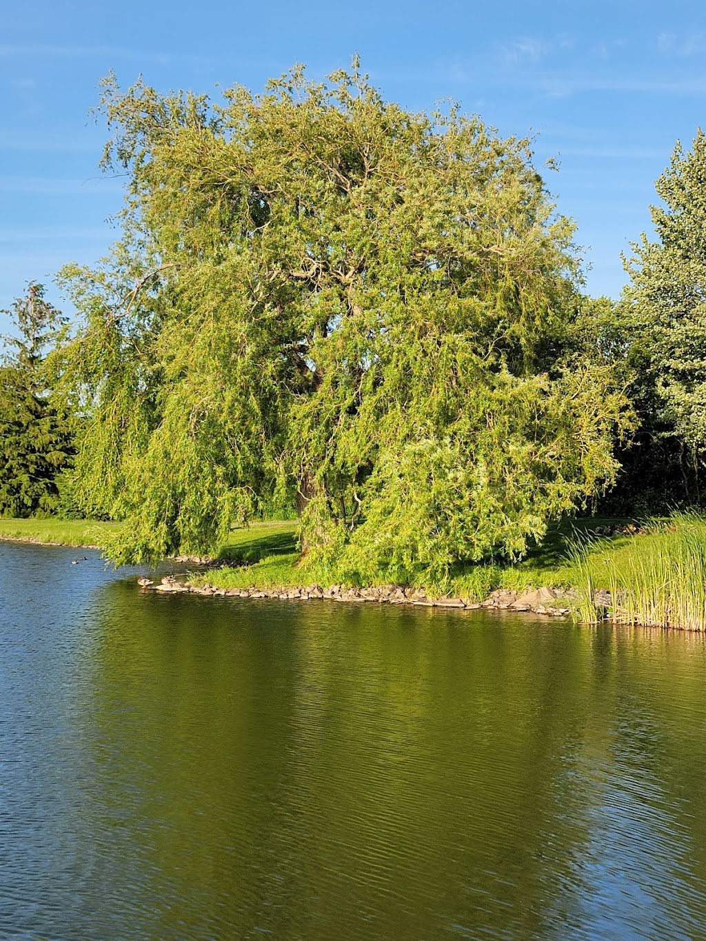 Kiwanis Park | 20 Juniper St, Truro, NS B2N 1L1, Canada | Phone: (902) 895-4484