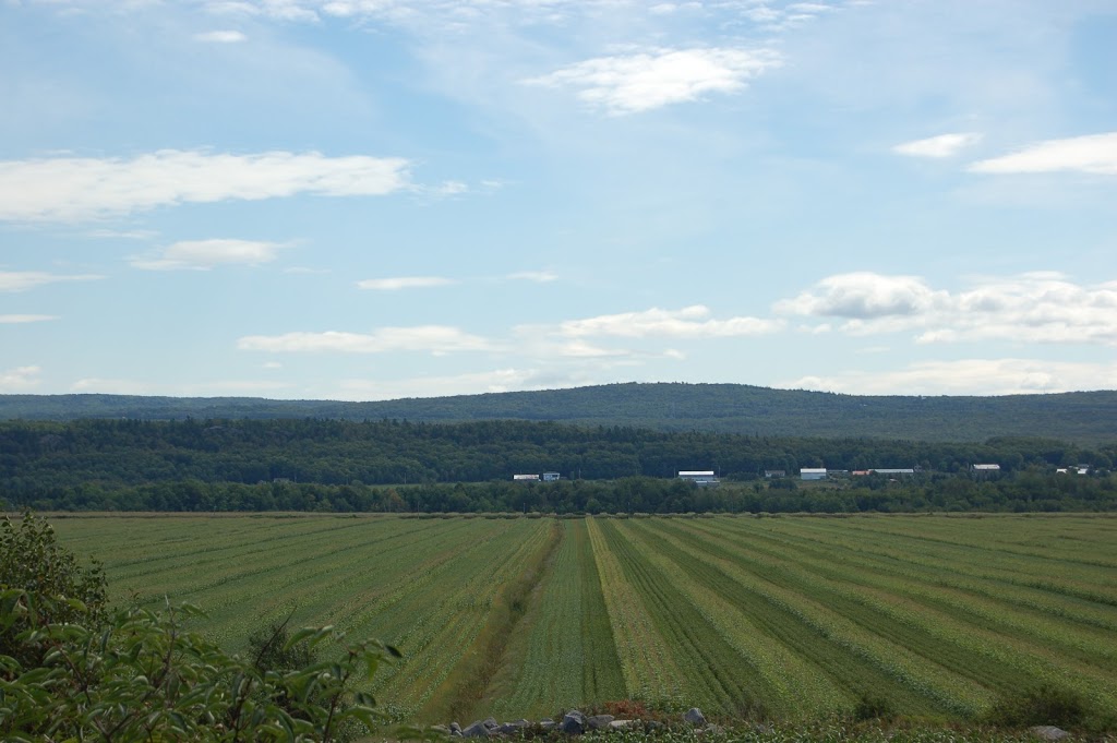DOMAINE EAU FLEUVE | 400 Chemin des Pionniers O, Cap-Saint-Ignace, QC G0R 1H0, Canada | Phone: (418) 508-1042
