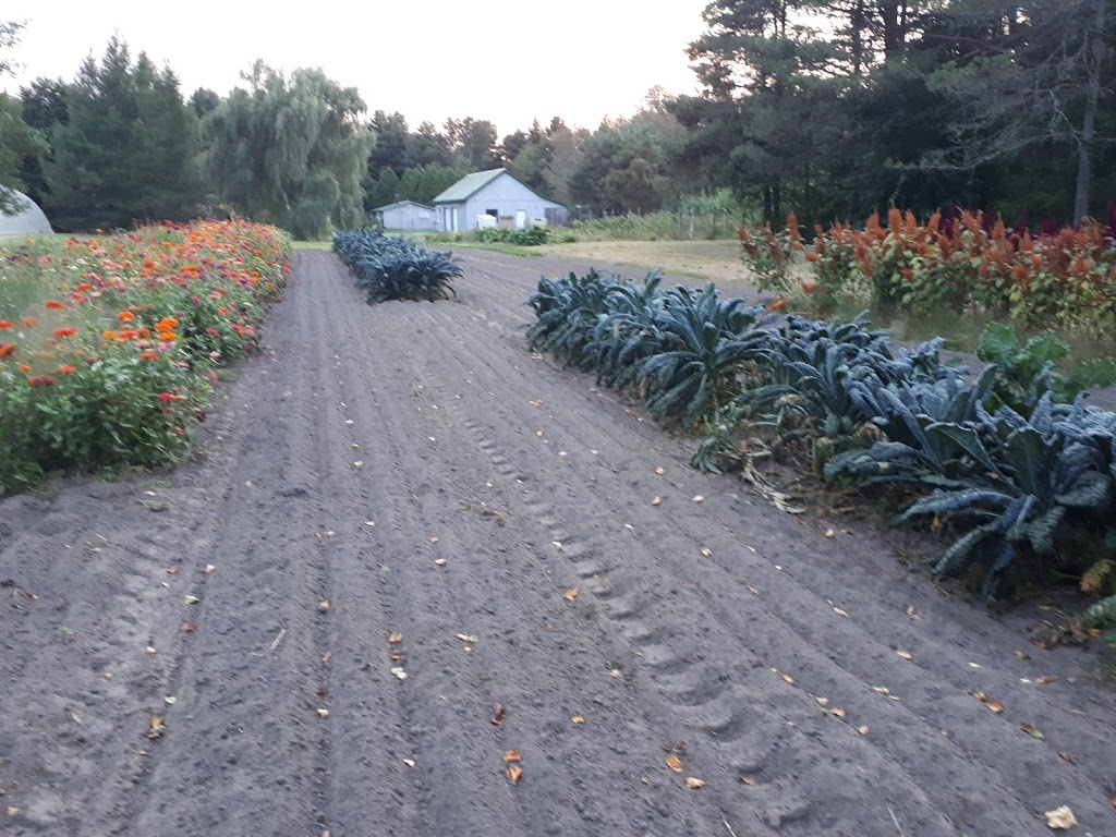 Wicklow Way | 188 Lakeport Rd, Colborne, ON K0K 1S0, Canada | Phone: (905) 269-0340