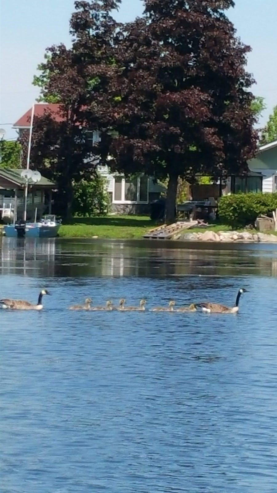 Long Beach Cottages & Trailer Park | 422 Long Beach Rd, Cameron, ON K0M 1G0, Canada | Phone: (416) 303-5678