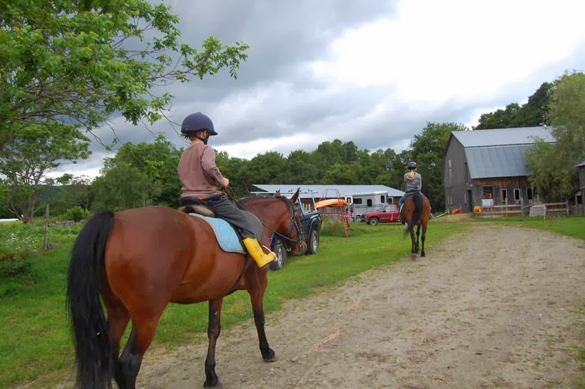 Greenhope Farm | 2478 Wylie Hill Rd., Wylie Hill Rd, Craftsbury Common, VT 05827, USA | Phone: (802) 586-7577