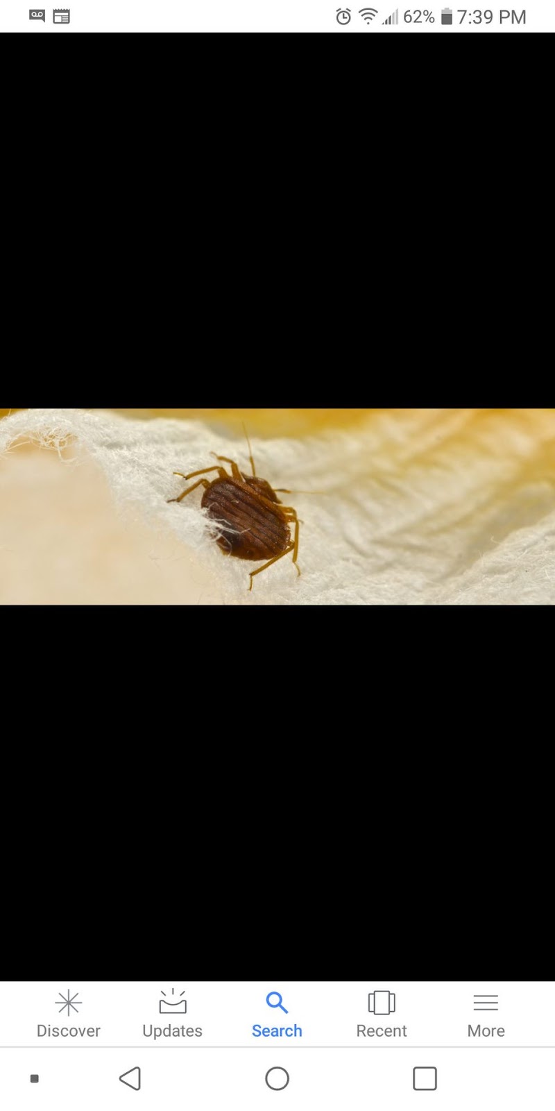 Certified Pest Control | 16 Meadowland Cres, Spruce Grove, AB T7X 0P9, Canada | Phone: (780) 231-3872
