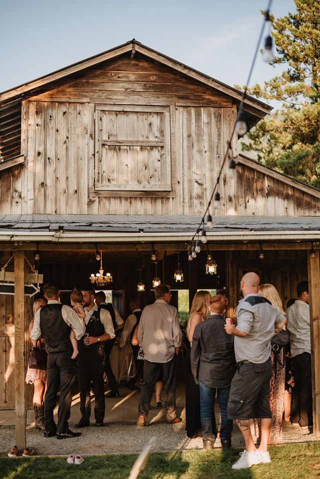 Loveleigh Lavender | 4235 Eckert St, Chilliwack, BC V2R 5J5, Canada | Phone: (778) 240-7944