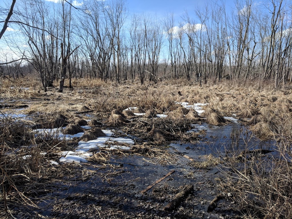 Centre dinterprétation du Ruisseau McFee | 703 Avenue de Venise O, Venise-en-Québec, QC J0J 2K0, Canada