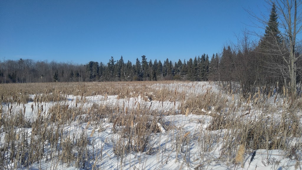 Jack Pine Trail | Moodie Dr, Nepean, ON K2R 1H4, Canada