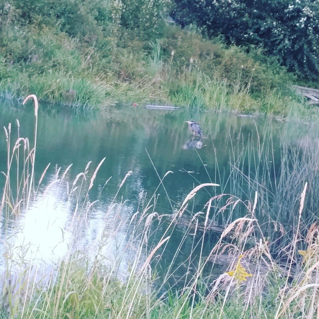 Fraser River Park | 8705 Angus Dr, Vancouver, BC V6P 6G2, Canada | Phone: (604) 873-7000