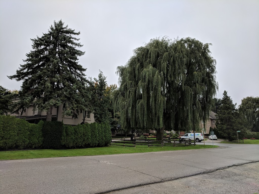 Bayview Glen Park | 48 Limcombe Dr, Markham, ON L3T, Canada