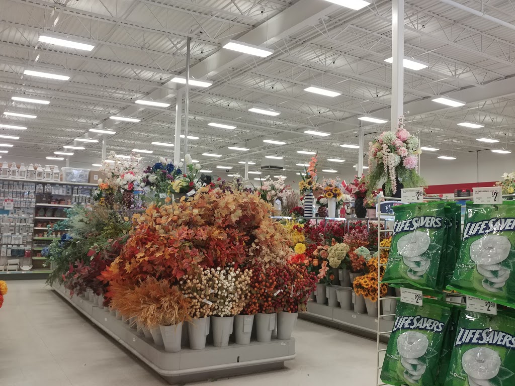 Michaels | 2088 Prince of Wales Dr, Regina, SK S4V 3A6, Canada | Phone: (306) 585-9892