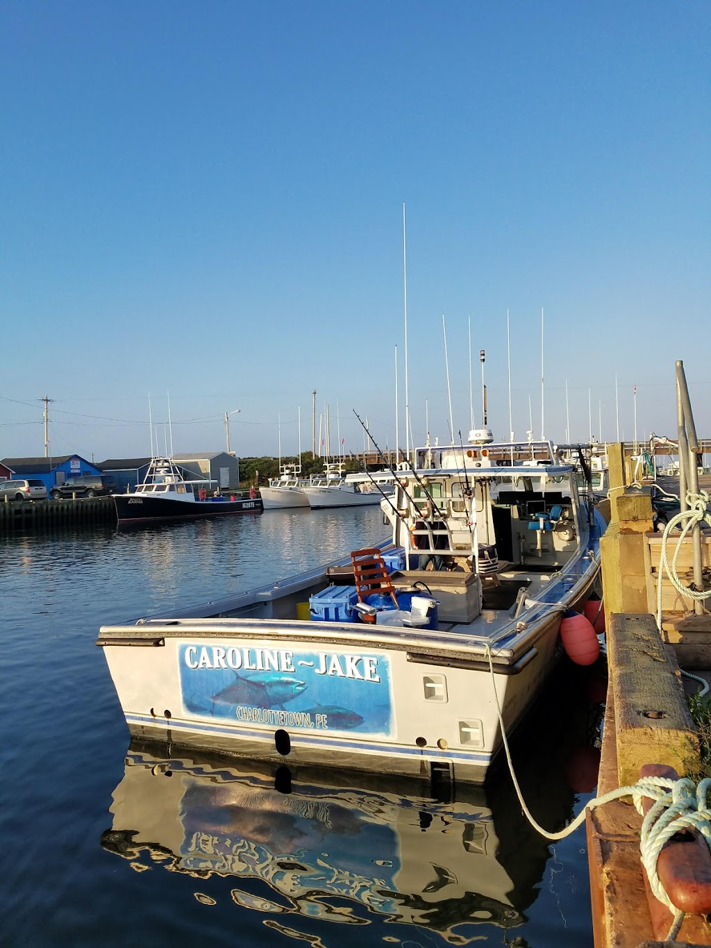 Scott Bruce Tuna Charters | Cape Rd, North Lake, PE C0A 1K0, Canada | Phone: (902) 969-7059