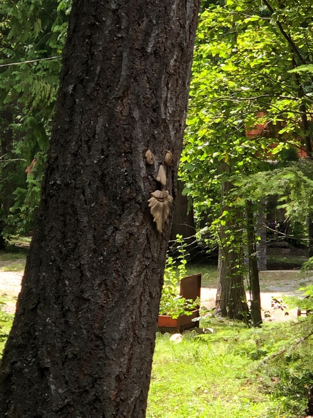 Tukaluk Campground | 7955 BC-6, Fauquier, BC V0G 1K0, Canada | Phone: (250) 269-7355
