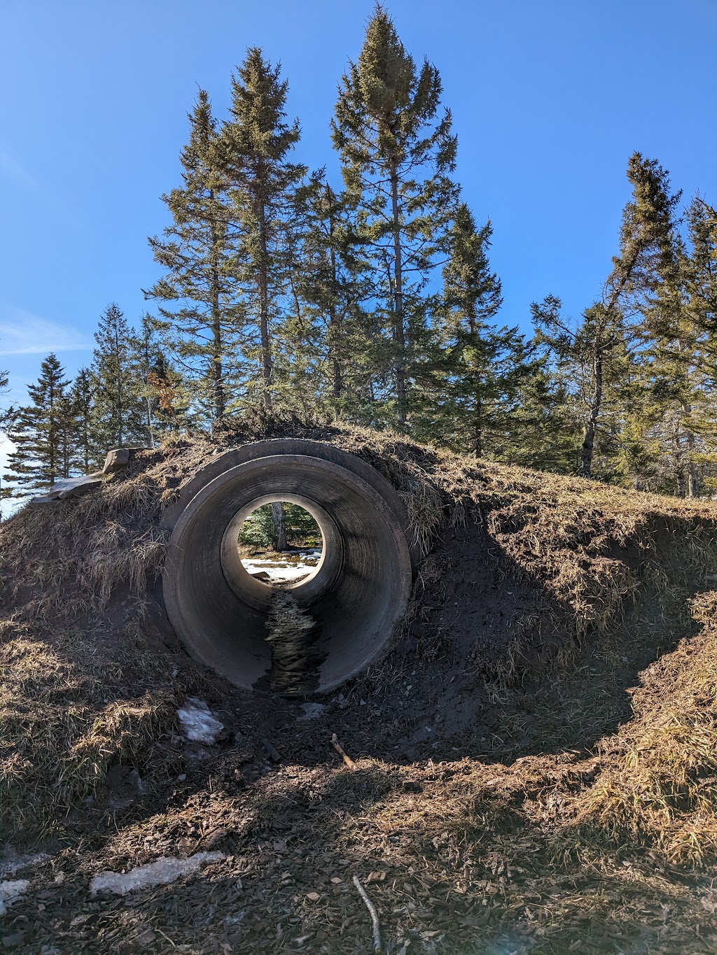 Nature Learning and Play Space | 12014 NS-224, Middle Musquodoboit, NS B0N 1X0, Canada | Phone: (902) 384-3420