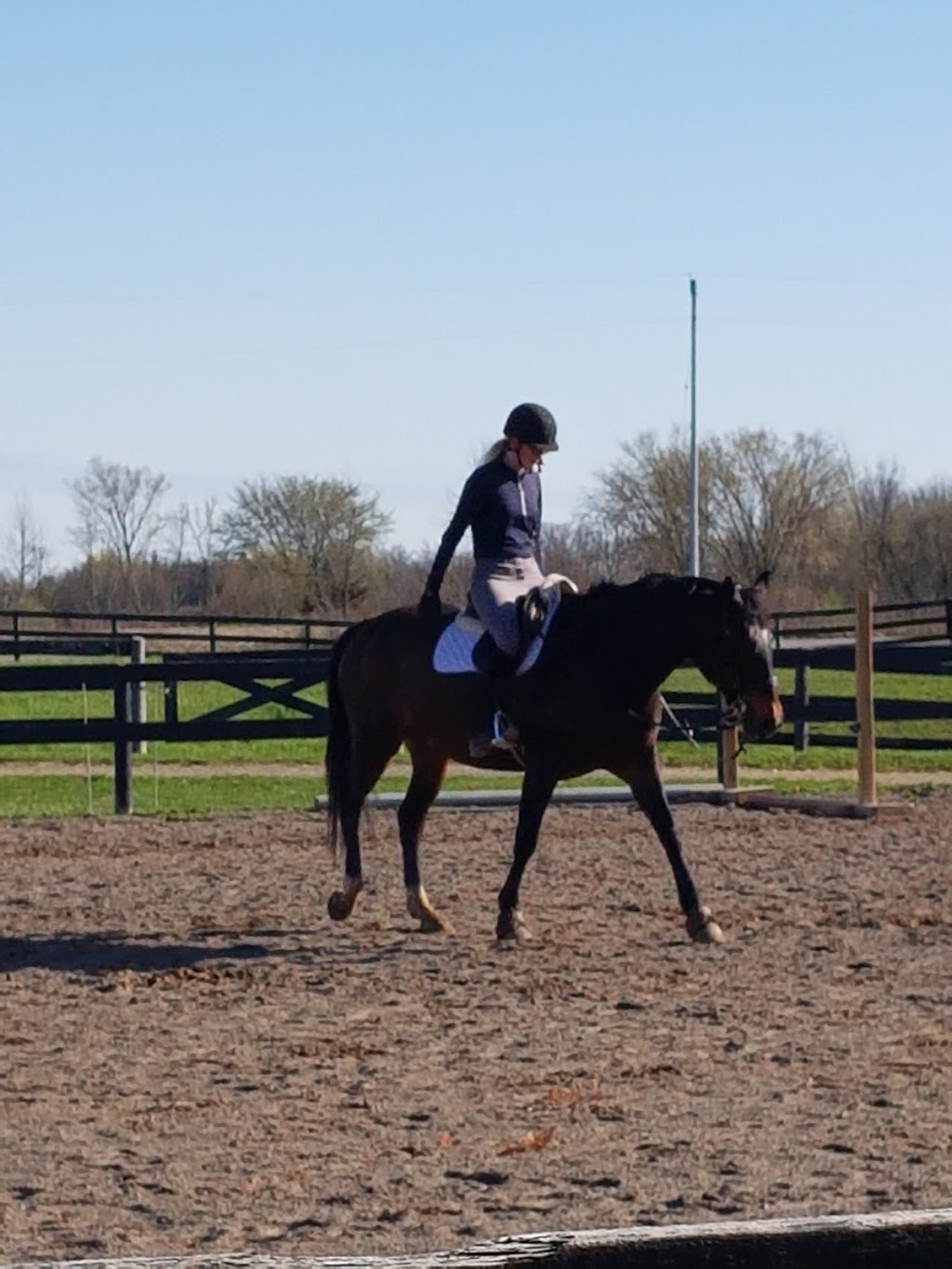 Eagle Wing Ranch | 426 Buchner Rd, Welland, ON L3B 5N4, Canada | Phone: (905) 359-0824