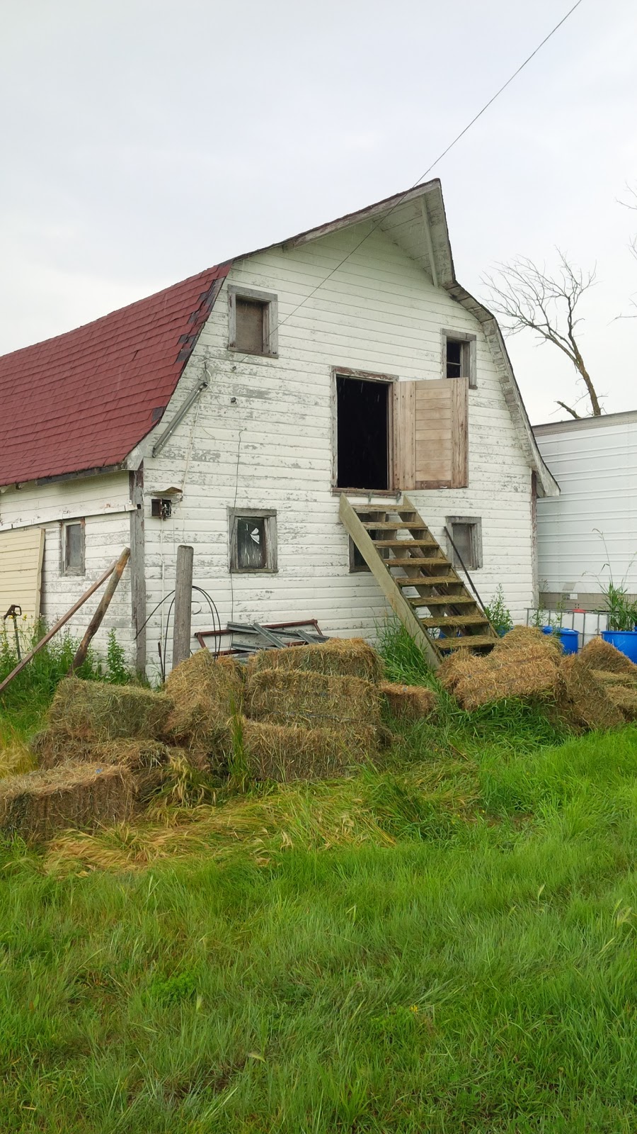 Cooks Creek Farm | 28098 Sapton Rd Box60 Grp17 RR2, Dugald, MB R0E 0K0, Canada | Phone: (204) 299-7299