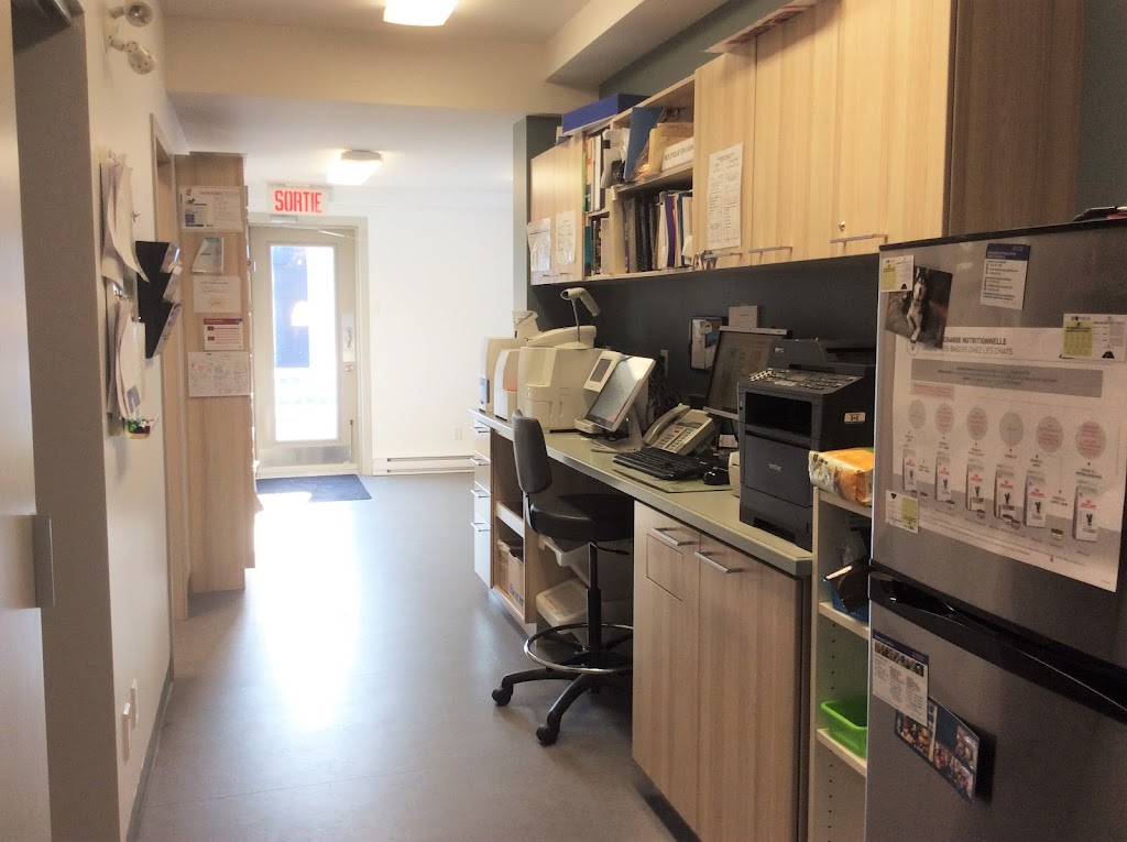 Clinique vétérinaire lArche de Noé | 753 Rue Notre Dame, Saint-Rémi, QC J0L 2L0, Canada | Phone: (450) 454-2801