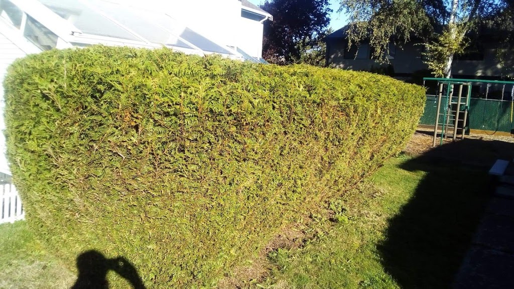 JTC LANDSCAPING | 7280 Lindsay Rd #107, Richmond, BC V7C 3M6, Canada | Phone: (604) 700-1339
