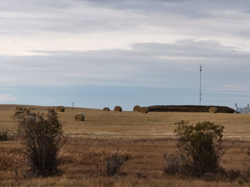 Crossfield Rest Stop | Hwy 2 S, Crossfield, AB T0M 0S0, Canada | Phone: (403) 946-2339