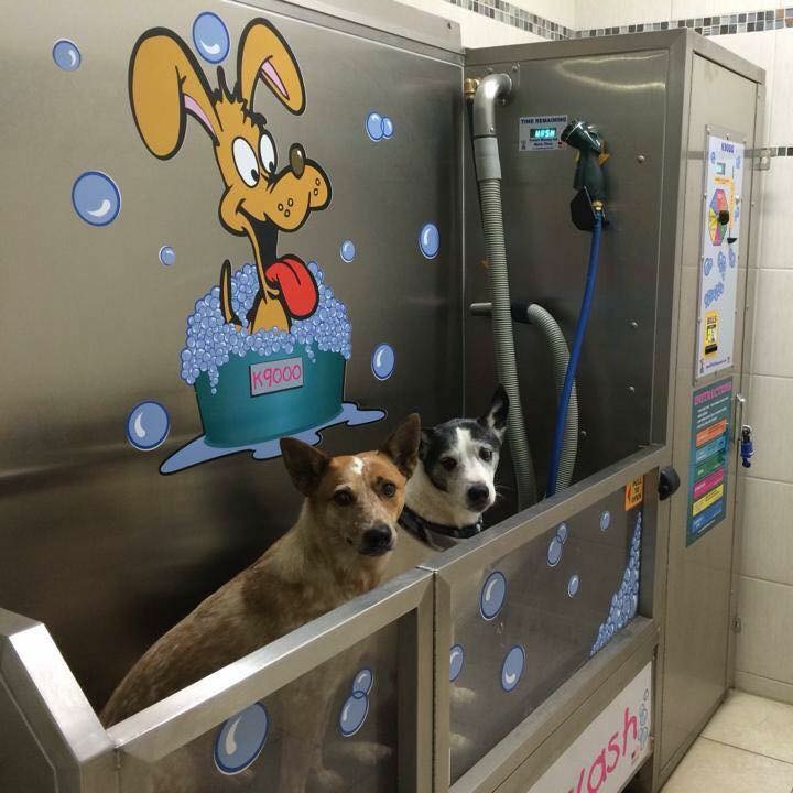 Victoria Ave Car & Pet Wash | 1200 Cranbrook St N, Cranbrook, BC V1C 4H8, Canada | Phone: (250) 417-1619