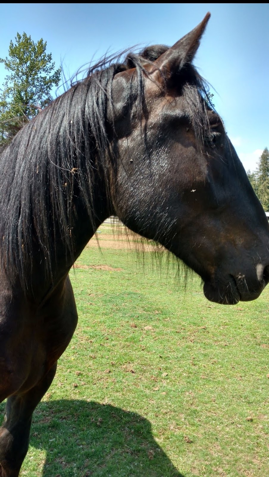 Bob Webb Trail | Brazier Rd, Courtenay, BC V9J 1S1, Canada | Phone: (250) 334-6000