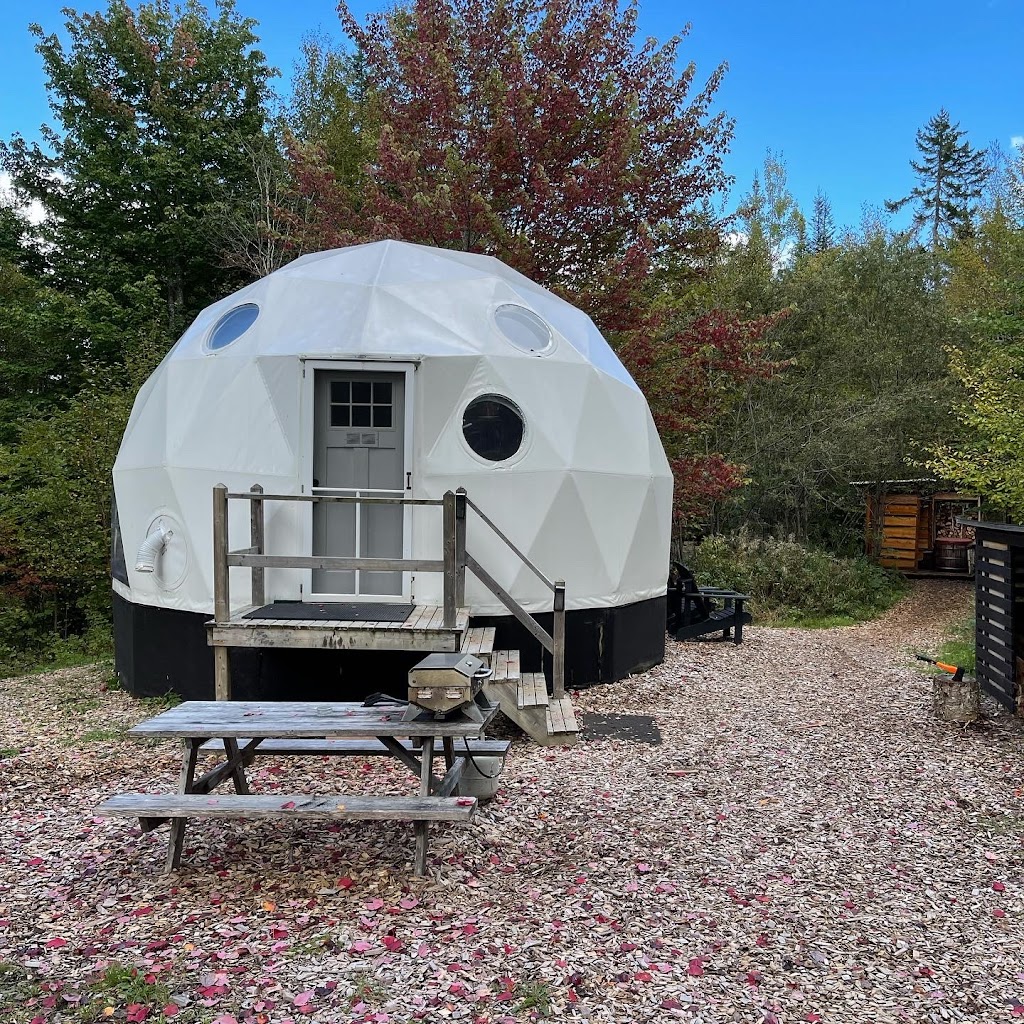 Ridgeback Lodge Inc. | 86 Old Reach Rd, Kingston, NB E5N 1B2, Canada | Phone: (506) 763-2617
