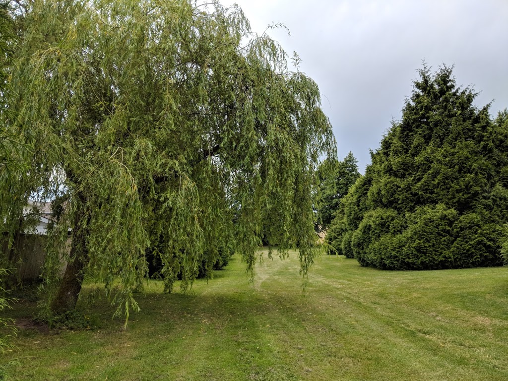 Don Christian Park | 18559 62 Ave, Surrey, BC V3S 7R1, Canada