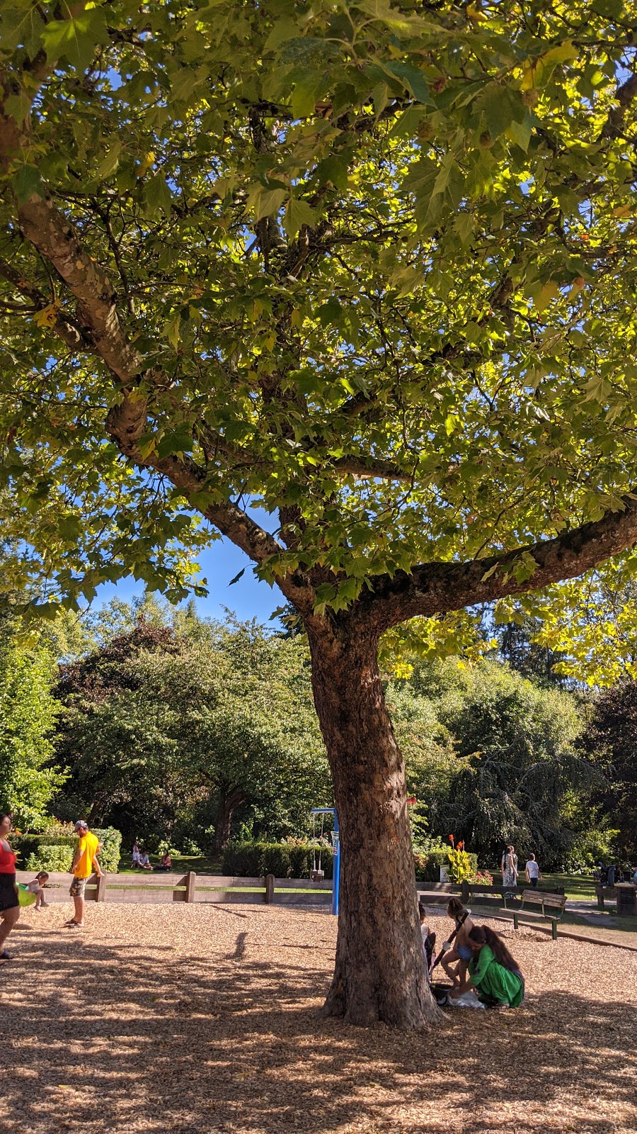 Bear Creek Park Playgrounds | Newton, Surrey, BC V3W 3L1, Canada | Phone: (604) 501-5050